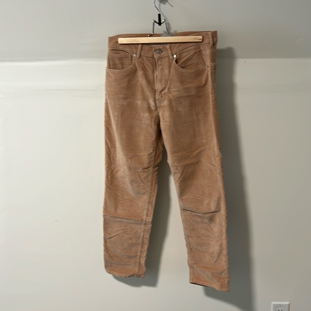 Everlane corduroy pants
